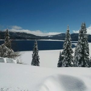 Meet your Posher, Bradley